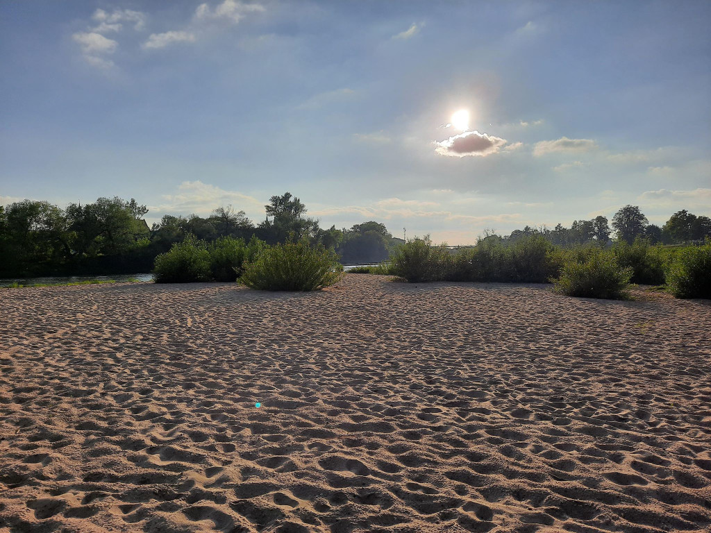 Muszelki, dwie osoby i kamieni kupa. Burmistrz Wrębiak zachęcał do wypoczynku na plaży nad Odrą, a więc poszliśmy zobaczyć jak jest