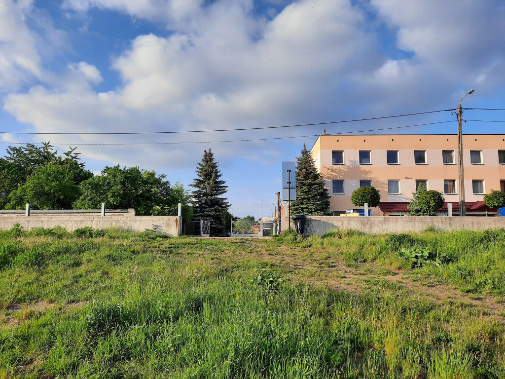 Muszelki, dwie osoby i kamieni kupa. Burmistrz Wrębiak zachęcał do wypoczynku na plaży nad Odrą, a więc poszliśmy zobaczyć jak jest