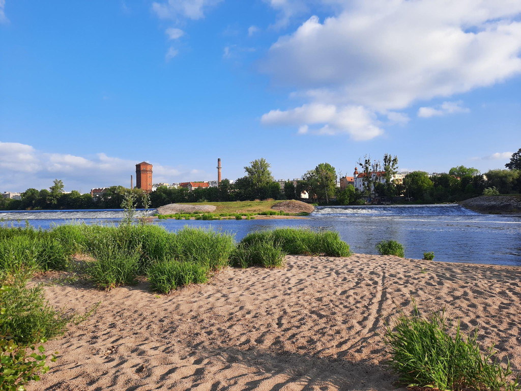 Muszelki, dwie osoby i kamieni kupa. Burmistrz Wrębiak zachęcał do wypoczynku na plaży nad Odrą, a więc poszliśmy zobaczyć jak jest