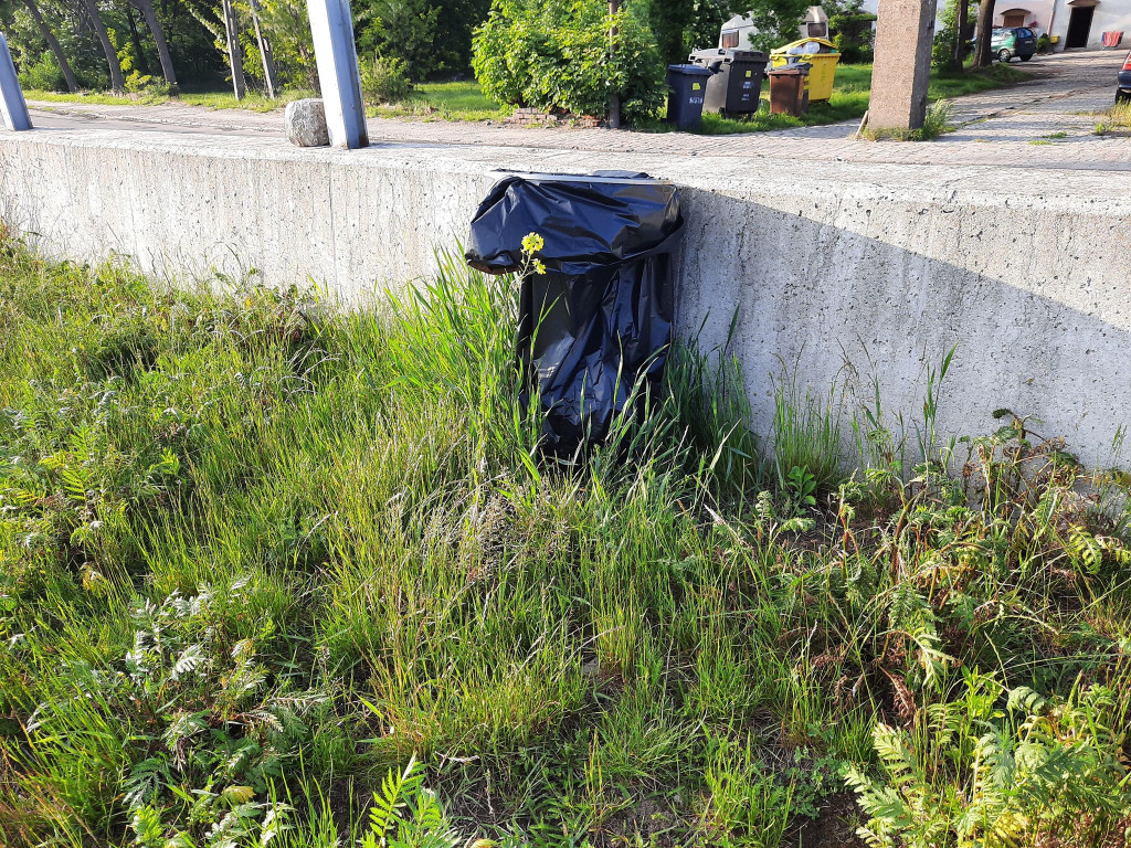 Muszelki, dwie osoby i kamieni kupa. Burmistrz Wrębiak zachęcał do wypoczynku na plaży nad Odrą, a więc poszliśmy zobaczyć jak jest