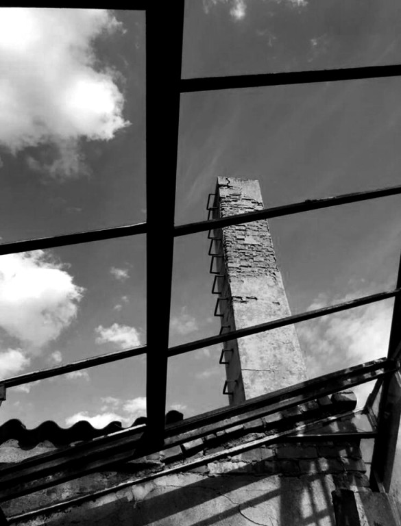 Podsumowanie konkursu - Moje miasto Grodków - architektura, ludzie, wydarzenia, natura (zdjęcia + film)