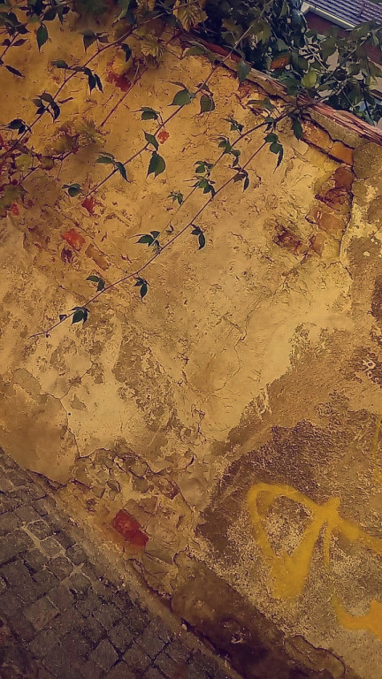 Podsumowanie konkursu - Moje miasto Grodków - architektura, ludzie, wydarzenia, natura (zdjęcia + film)