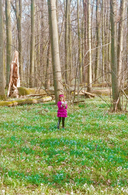 Podsumowanie konkursu - Moje miasto Grodków - architektura, ludzie, wydarzenia, natura (zdjęcia + film)