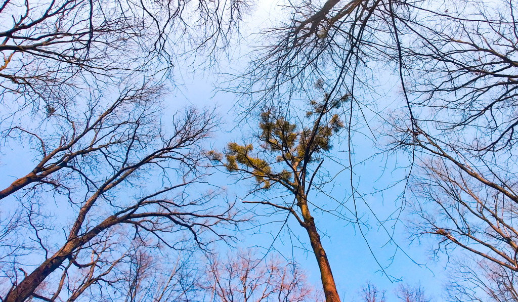 Podsumowanie konkursu - Moje miasto Grodków - architektura, ludzie, wydarzenia, natura (zdjęcia + film)