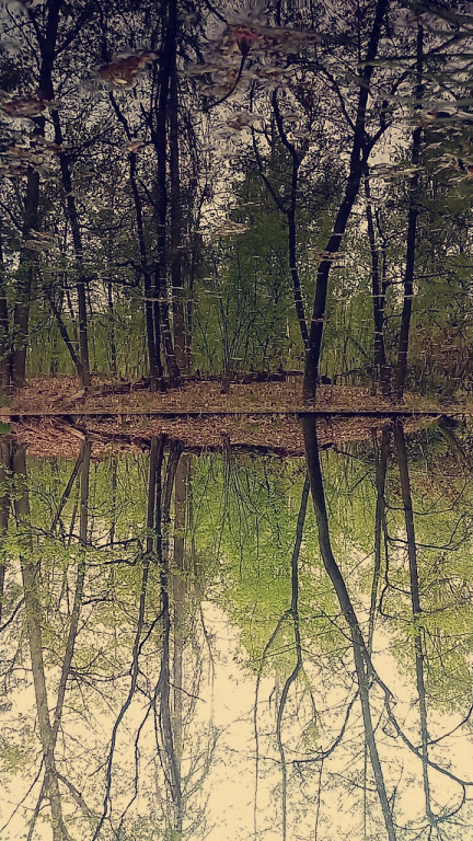 Podsumowanie konkursu - Moje miasto Grodków - architektura, ludzie, wydarzenia, natura (zdjęcia + film)