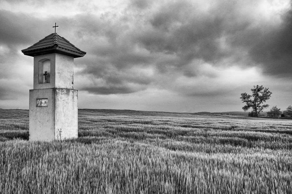 Podsumowanie konkursu - Moje miasto Grodków - architektura, ludzie, wydarzenia, natura (zdjęcia + film)