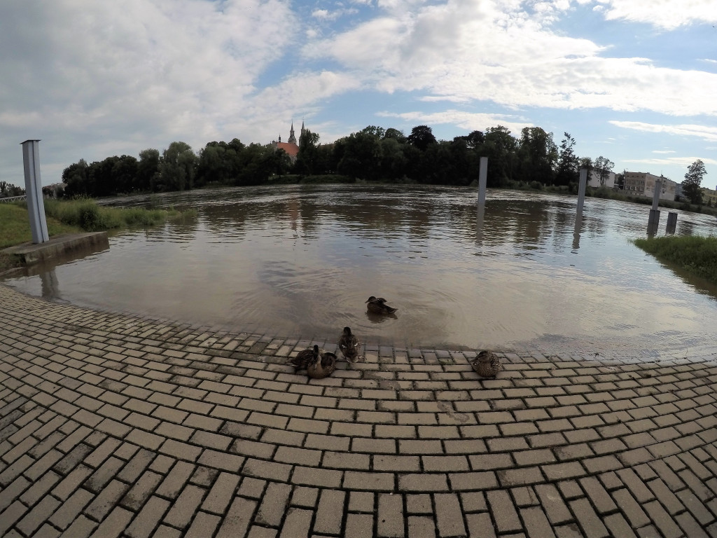 Wielka woda 2020. Czy powtórzy się dramatyczny scenariusz z 1997 i 2010 roku? (film + zdjęcia)