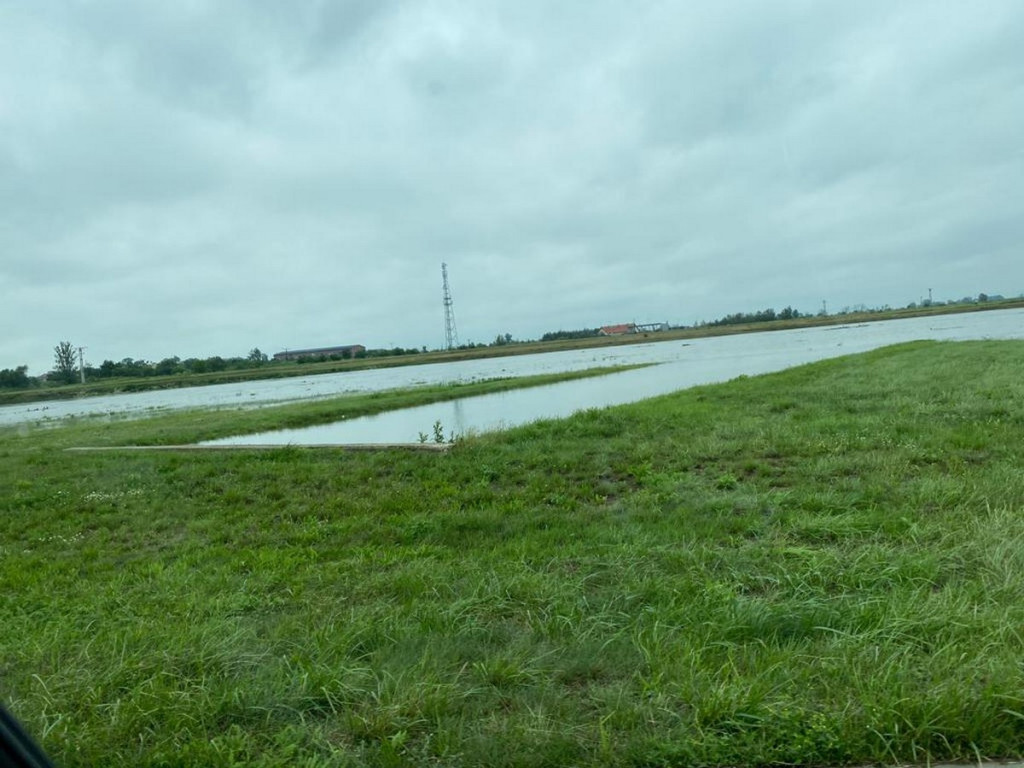 Niebezpieczny zator na Nysie Kłodzkiej pod mostem kolejowym w Lewinie Brzeskim