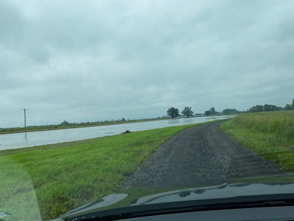 Niebezpieczny zator na Nysie Kłodzkiej pod mostem kolejowym w Lewinie Brzeskim
