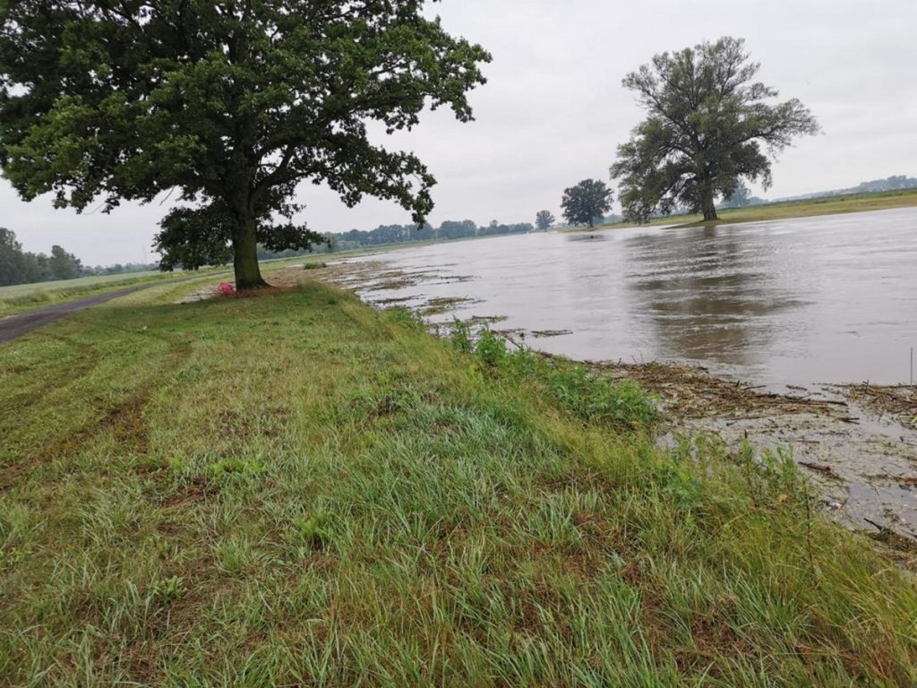 Niebezpieczny zator na Nysie Kłodzkiej pod mostem kolejowym w Lewinie Brzeskim