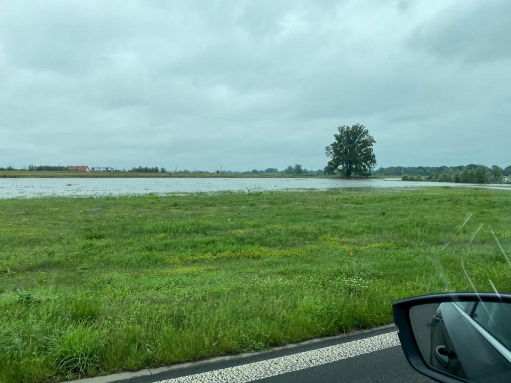 Niebezpieczny zator na Nysie Kłodzkiej pod mostem kolejowym w Lewinie Brzeskim