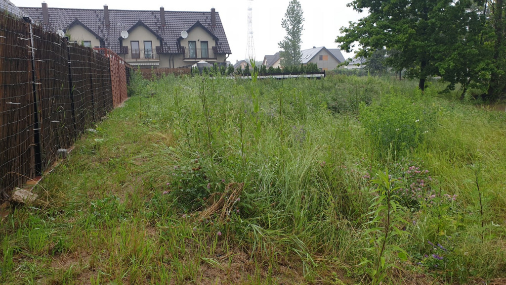 Mieszkańcy Tivoli nie mogą się doczekać na drogę. Osiedle wygląda jak 