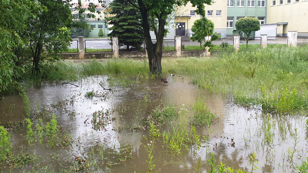 Mieszkańcy Tivoli nie mogą się doczekać na drogę. Osiedle wygląda jak 