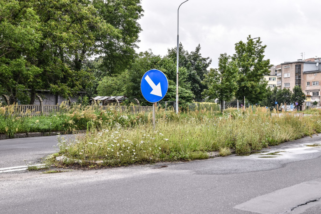 Koszenie zarośniętych ulic w Brzegu ruszy od poniedziałku. Kto 