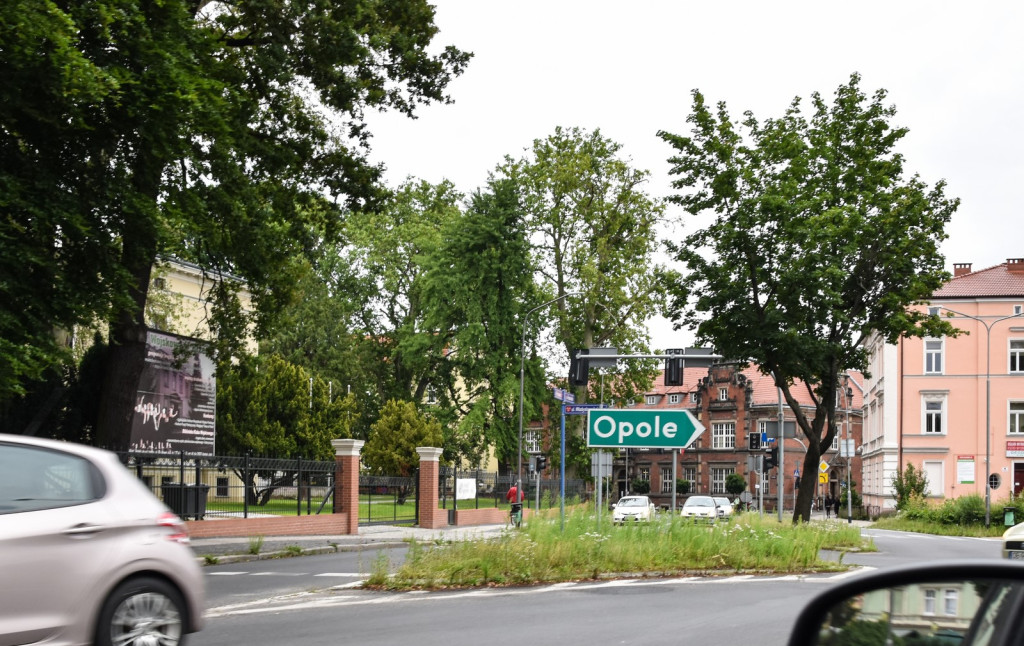 Koszenie zarośniętych ulic w Brzegu ruszy od poniedziałku. Kto 