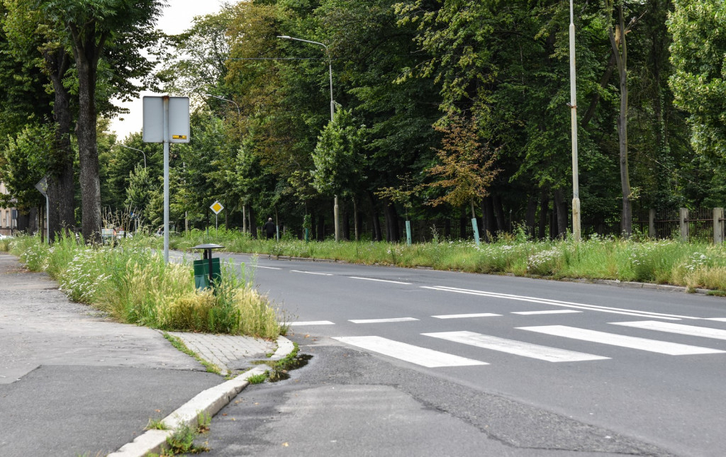 Koszenie zarośniętych ulic w Brzegu ruszy od poniedziałku. Kto 