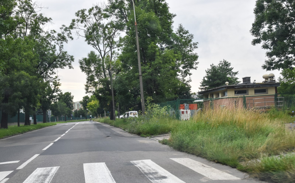 Koszenie zarośniętych ulic w Brzegu ruszy od poniedziałku. Kto 