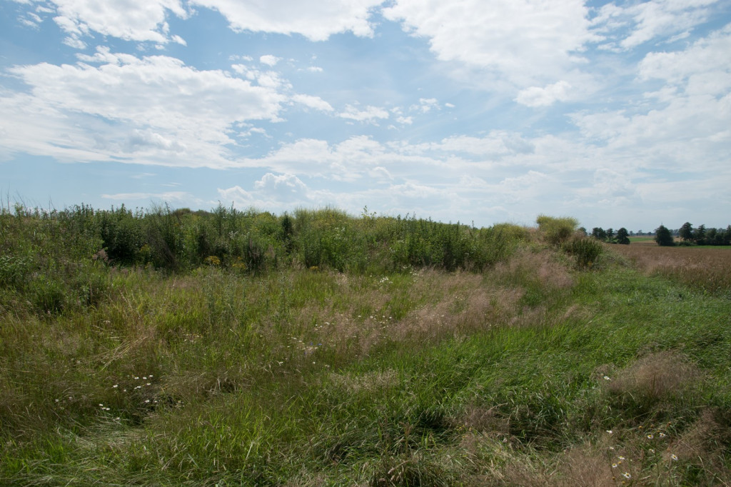 Po naszej publikacji wójt Andrzej Pulit nakazuje usunięcie gruzu. To dopiero wierzchołek wielkiej góry śmieciowej w Skarbimierzu, którą cyklicznie będziemy ujawniać