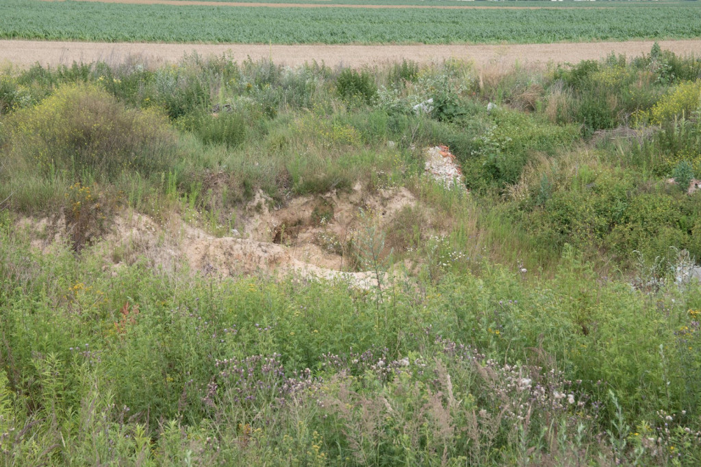 Po naszej publikacji wójt Andrzej Pulit nakazuje usunięcie gruzu. To dopiero wierzchołek wielkiej góry śmieciowej w Skarbimierzu, którą cyklicznie będziemy ujawniać