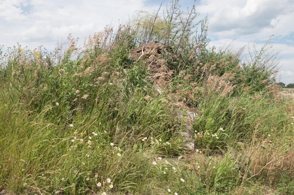 Po naszej publikacji wójt Andrzej Pulit nakazuje usunięcie gruzu. To dopiero wierzchołek wielkiej góry śmieciowej w Skarbimierzu, którą cyklicznie będziemy ujawniać