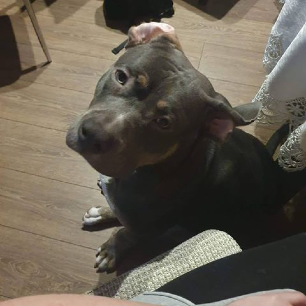 Nato został odnaleziony, ale.. wciąż jest poszukiwany