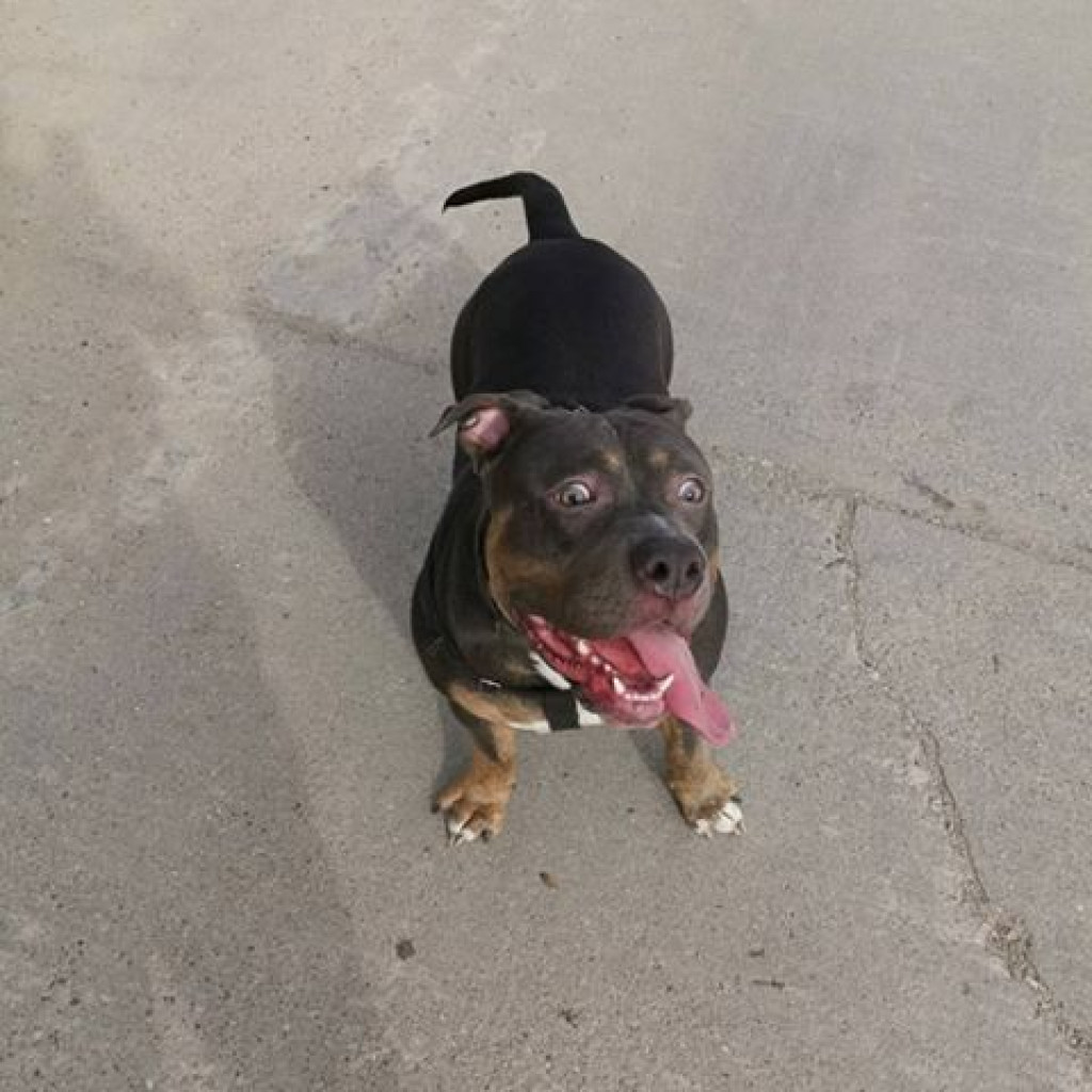 Nato został odnaleziony, ale.. wciąż jest poszukiwany