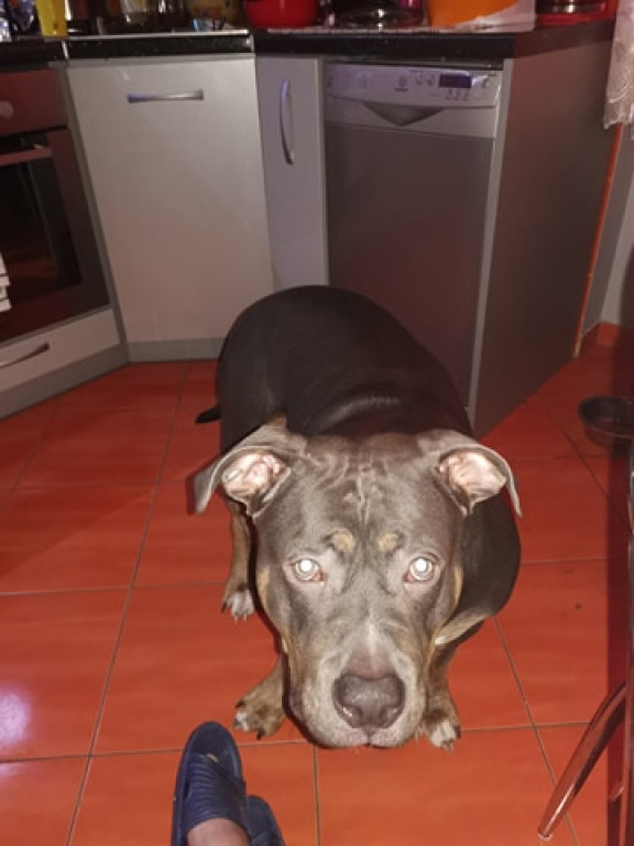 Nato został odnaleziony, ale.. wciąż jest poszukiwany