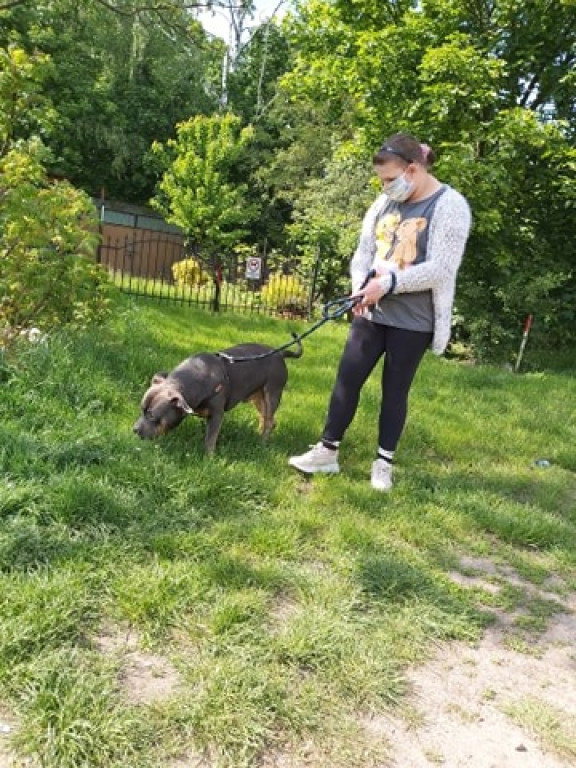 Nato został odnaleziony, ale.. wciąż jest poszukiwany