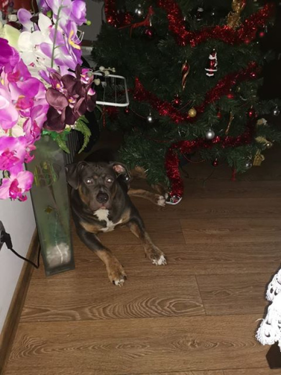 Nato został odnaleziony, ale.. wciąż jest poszukiwany