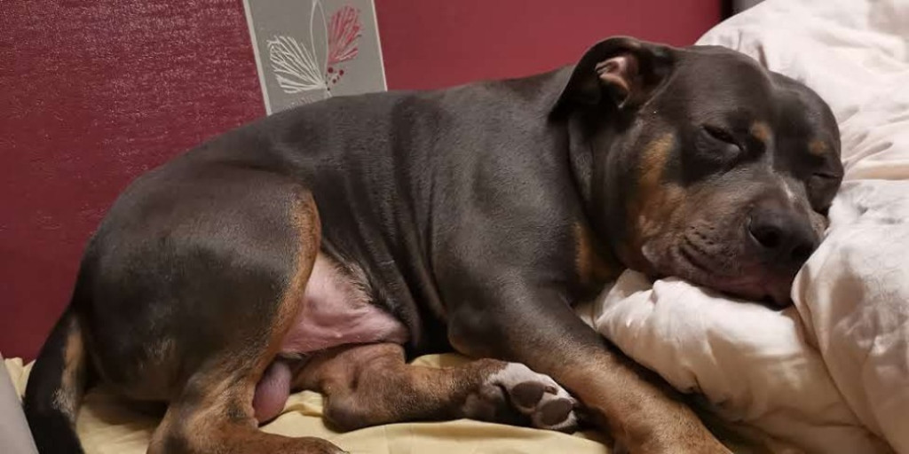 Nato został odnaleziony, ale.. wciąż jest poszukiwany