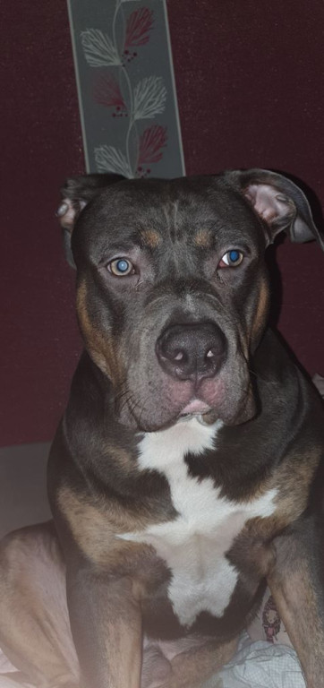 Nato został odnaleziony, ale.. wciąż jest poszukiwany