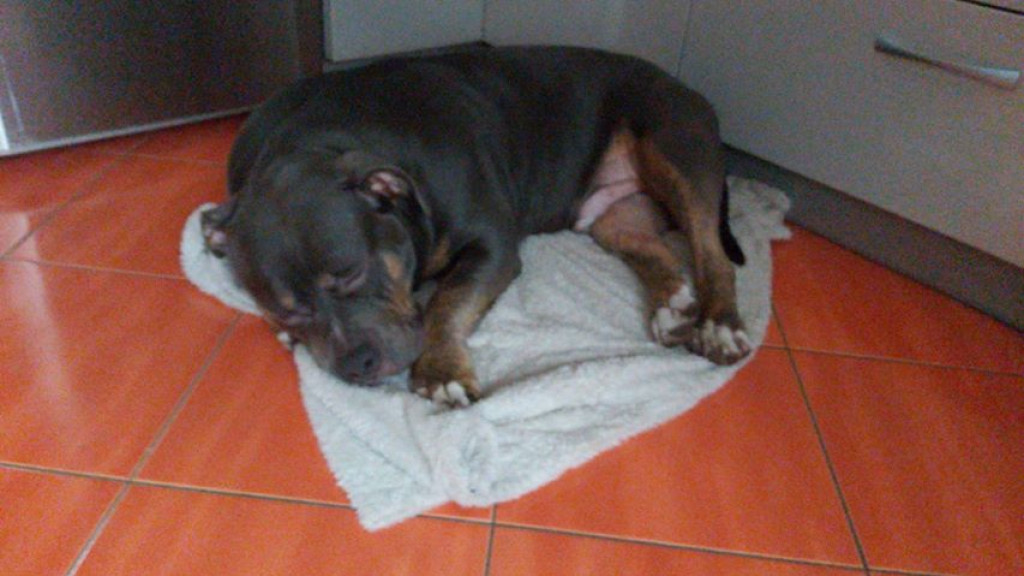 Nato został odnaleziony, ale.. wciąż jest poszukiwany