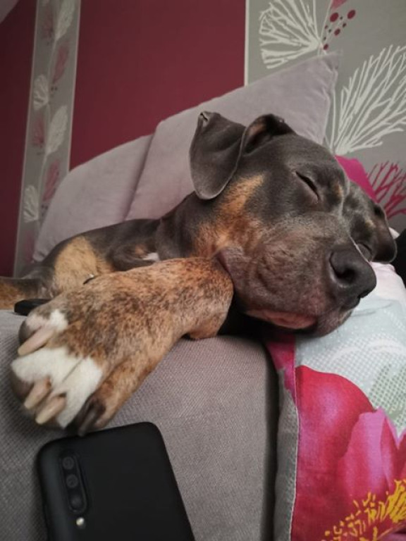 Nato został odnaleziony, ale.. wciąż jest poszukiwany