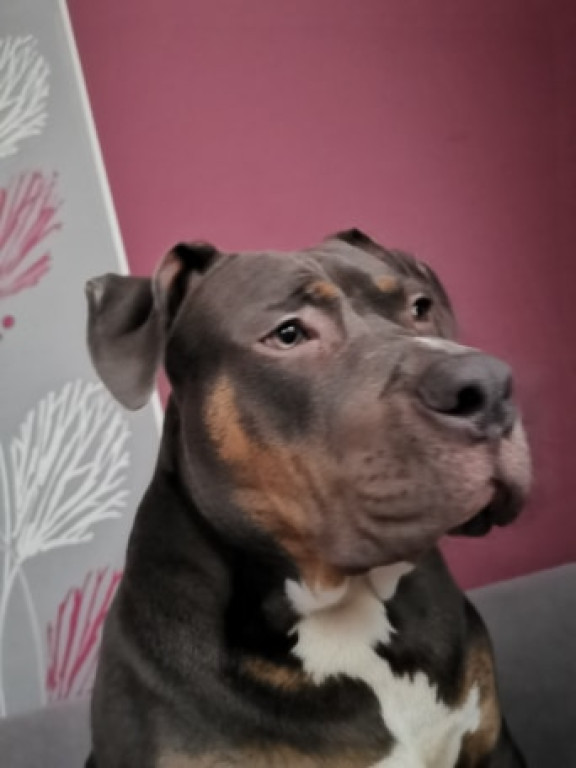 Nato został odnaleziony, ale.. wciąż jest poszukiwany