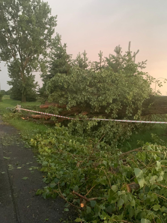 Zalane ulice, połamane drzewa i uszkodzony dach