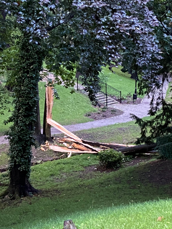 Zalane ulice, połamane drzewa i uszkodzony dach