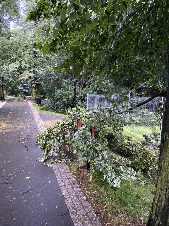 Zalane ulice, połamane drzewa i uszkodzony dach