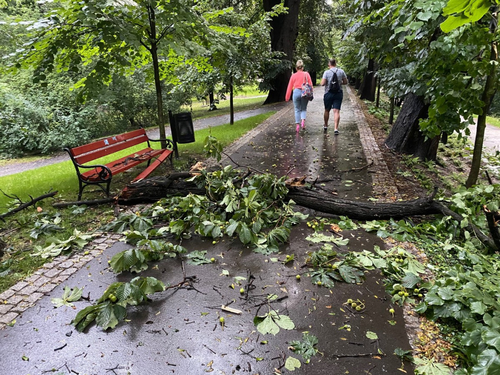 Zalane ulice, połamane drzewa i uszkodzony dach