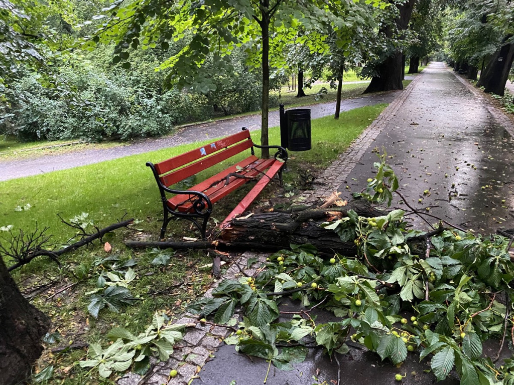Zalane ulice, połamane drzewa i uszkodzony dach