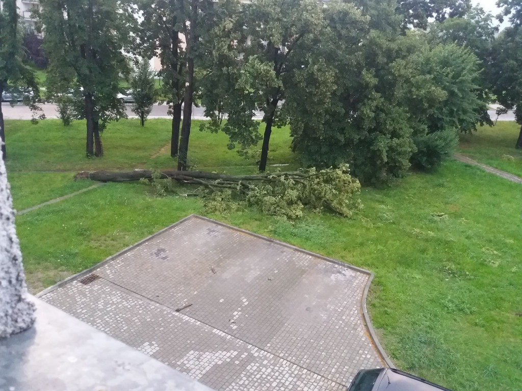 Strażacy podsumowali działania po nawałnicy. Jest sporo zniszczeń