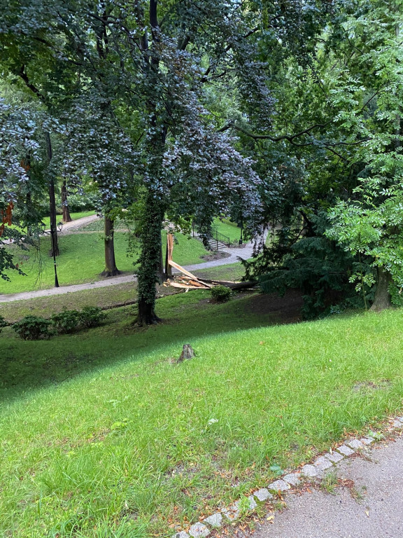 Strażacy podsumowali działania po nawałnicy. Jest sporo zniszczeń