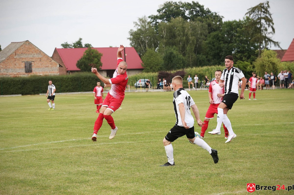 Victoria Dobrzyń poległa w Smarchowicach Śląskich. 