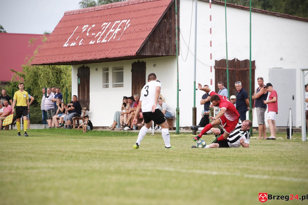 Victoria Dobrzyń poległa w Smarchowicach Śląskich. 