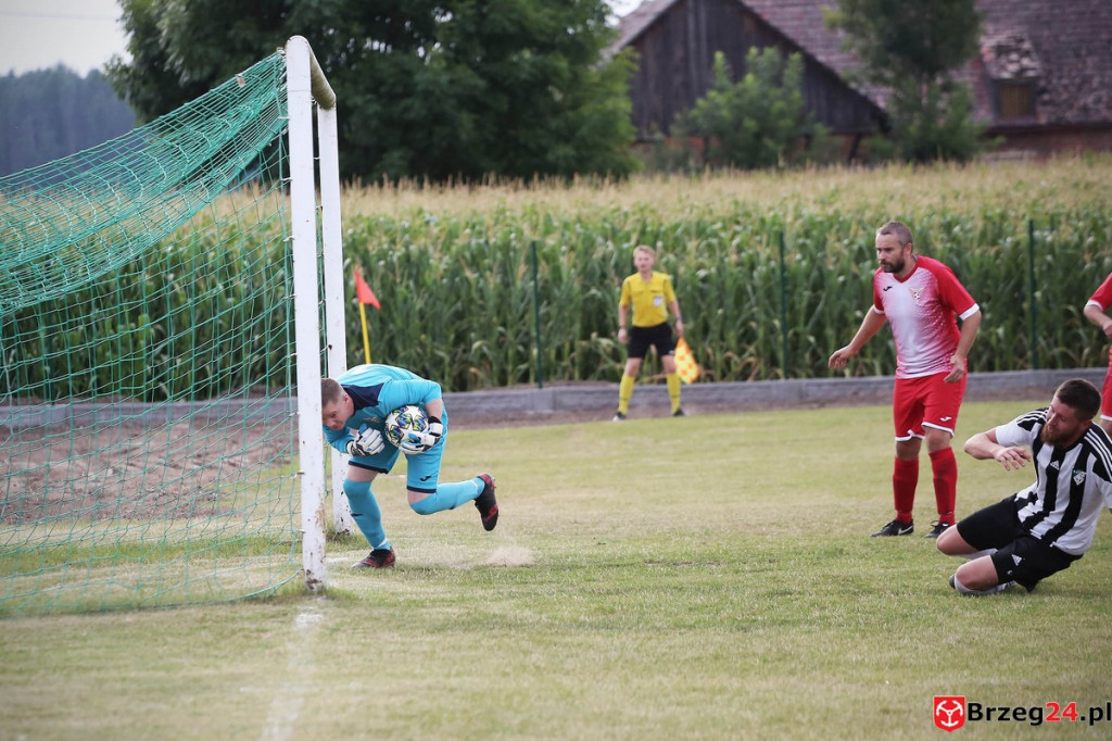 Victoria Dobrzyń poległa w Smarchowicach Śląskich. 