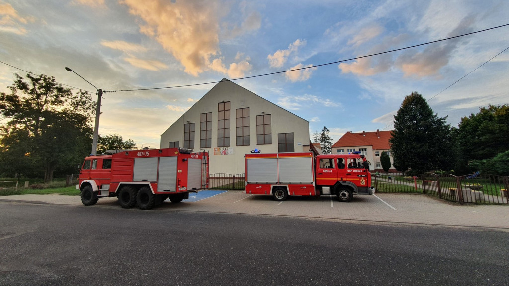 Strażacy coraz częściej wyjeżdżają do agresywnych szerszeni, jednak nie zawsze powinniśmy angażować ratowników