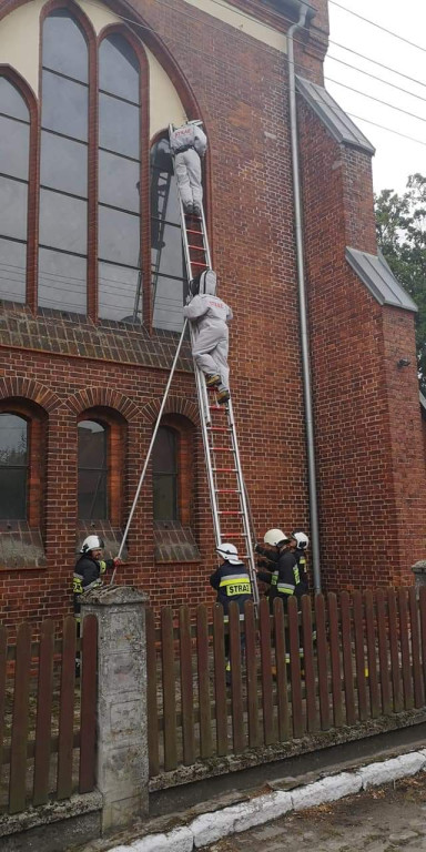 Strażacy coraz częściej wyjeżdżają do agresywnych szerszeni, jednak nie zawsze powinniśmy angażować ratowników