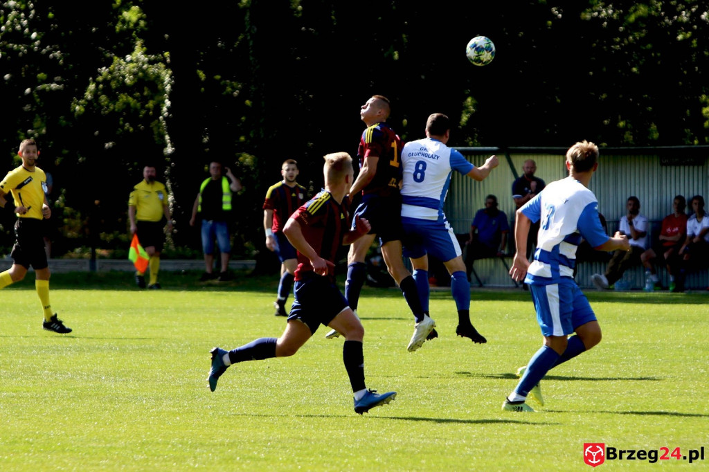 4. liga: LZS Skorogoszcz znów prowadził do przerwy i ponownie stracił punkty [GALERIA]