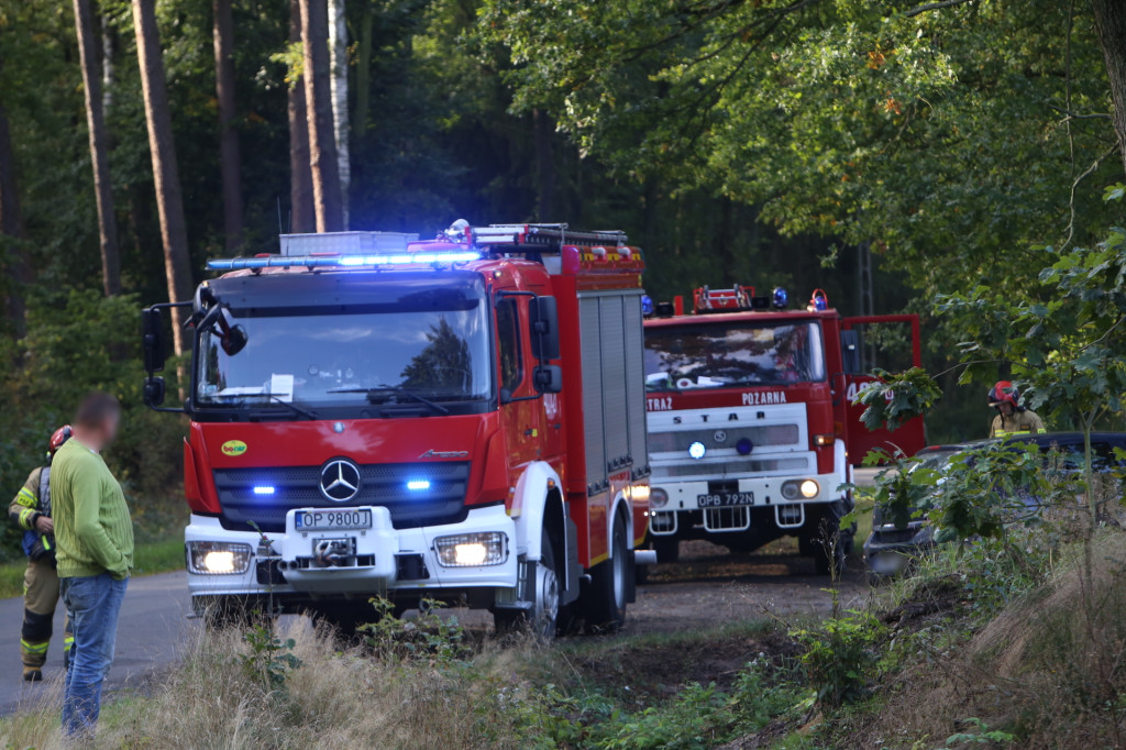 Kierowca zasłabł podczas jazdy. Śmigłowiec LPR lądował w lesie na wyrębisku [wideo]