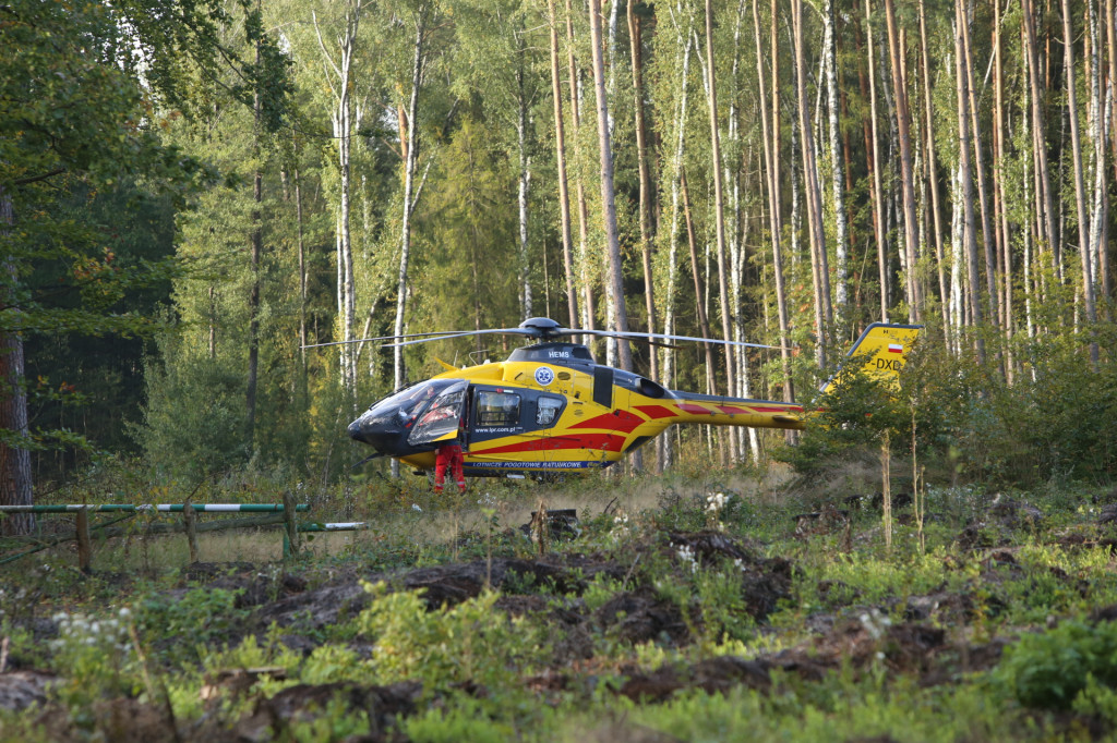 Kierowca zasłabł podczas jazdy. Śmigłowiec LPR lądował w lesie na wyrębisku [wideo]