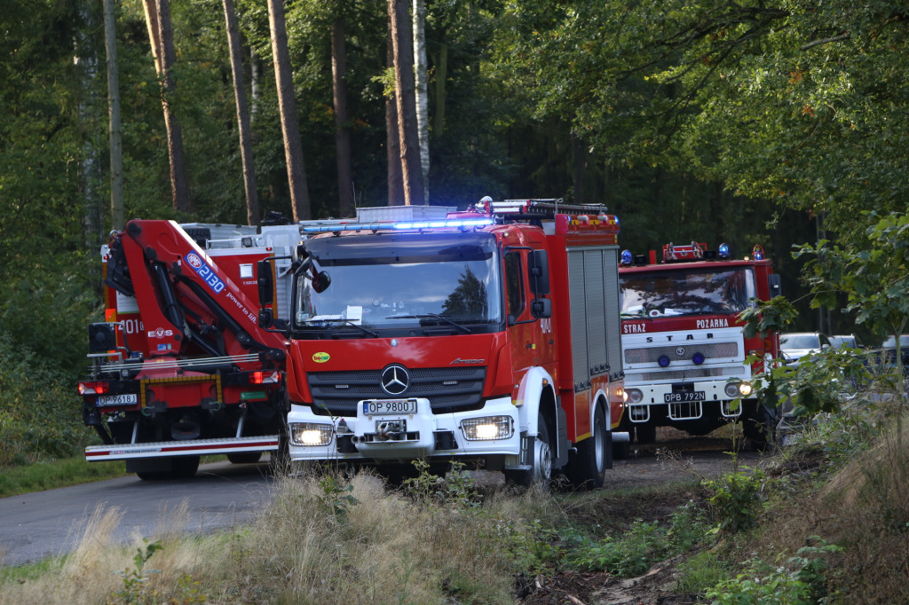 Kierowca zasłabł podczas jazdy. Śmigłowiec LPR lądował w lesie na wyrębisku [wideo]